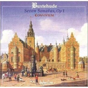 Download track 17. Sonata No VI In D Minor - BuxWV257 Grave - Allegro Dieterich Buxtehude