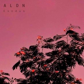 Download track Clothes ALDN