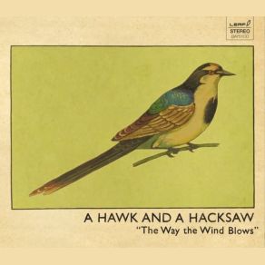 Download track Song For Joseph A Hawk And A Hacksaw