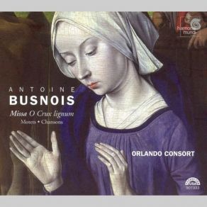 Download track Missa O Crux Lignum - Credo Robert Harre-Jones, Orlando Consort, Mark Dobell