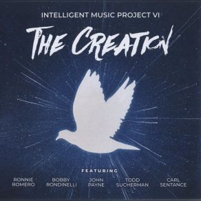 Download track Sometimes Intelligent Music Project VI