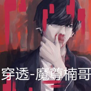 Download track 穿透 (Dj版) 魔尊楠哥