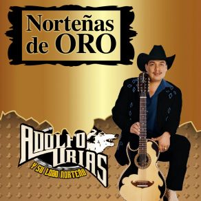 Download track El Rompecabezas Adolfo Urias Y Su Lobo Norteño