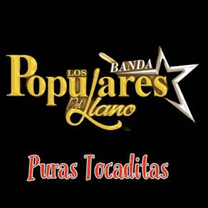 Download track Las Calabazas Los Populares Del Llano