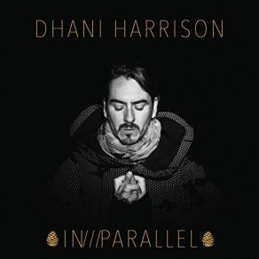 Download track Summertime Police Dhani Harrison