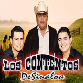 Download track Hoy Te Quiero Tanto, Tanto Los Contentos De Sinaloa