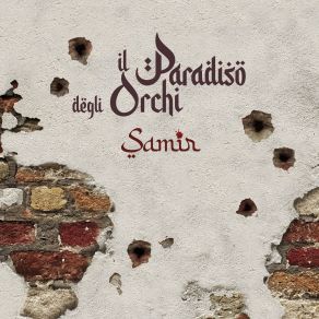 Download track Ali Di Gabbiano Il Paradiso Degli Orchi