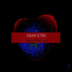 Download track Where Is Alice? Alice Who? (Rewritten By Brain Leisure) Cruise [Ctrl]Brain Leisure