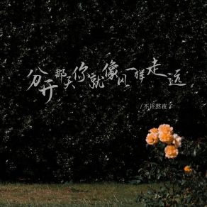 Download track 分开那天你就像风一样走远 (伴奏) 不许熬夜了