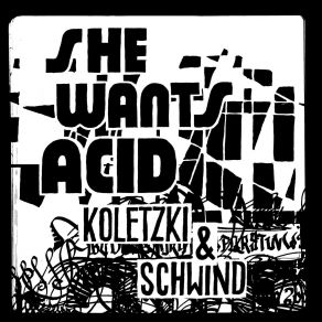 Download track She Wants Acid Oliver Koletzki, Niko Schwind