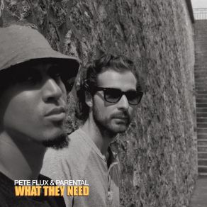 Download track What They Need (Instrumental) Pete Flux & Parental, Parental, Pete Flux