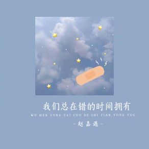 Download track 我们总在错的时间拥有 (伴奏版) 赵嘉遇