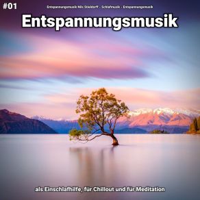 Download track Entspannungsmusik Pt. 6 Entspannungsmusik