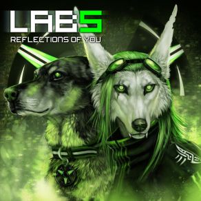 Download track Reflections Of You (Single Edit) Laboratory 5Brindle, Digre