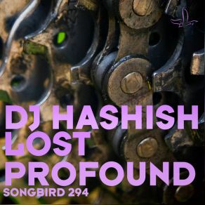 Download track Profound DJ Hashish