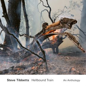 Download track The Big Wind Steve Tibbetts