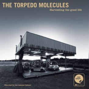 Download track Who Knows The Torpedo Molecules