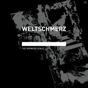 Download track Shock Follicle Weltschmerz