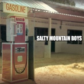 Download track The Boys Night Out Salty Mountain Boys