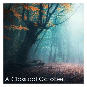 Download track Mozart: Minuet In G Major, K. 15y Florian Birsak