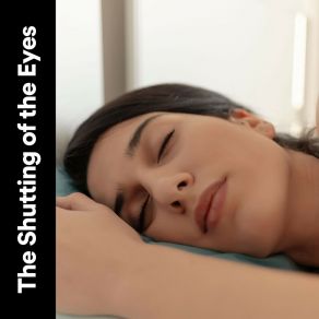 Download track Lucid Dreams Ambient Sleeping Music, Pt. 59 Sleeping Music