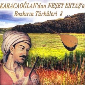 Download track Akşam Oldu Kırat Yemez Yemini Dursun Uçar