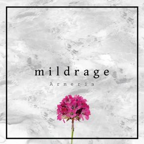 Download track In Your Face Mildrage