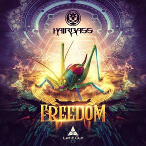 Download track Freedom Hairbass