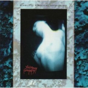 Download track One Time One Place Skinny Puppy