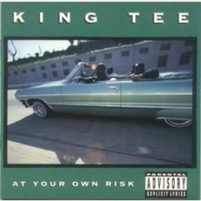 Download track At Your Own Risk King Tee