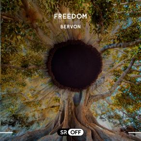 Download track Freedom Bervon