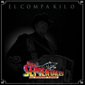 Download track Roman Iriarte Los Sementales De Nuevo Leon