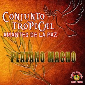 Download track La Potranca Conjunto Tropical Amantes De La Paz