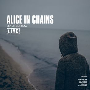 Download track Man In The Box (Live) Alice In Chains