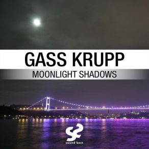 Download track Moonlight Shadows (Beach Party Radio Mix) Gass KruppBeach Party