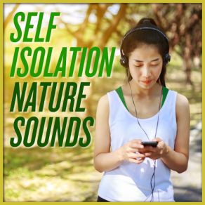 Download track Sparkling Waves The Nature Sound Collector