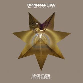 Download track Bugs Jump Out Of The Water (Pole Folder Remix) Francesco Pico