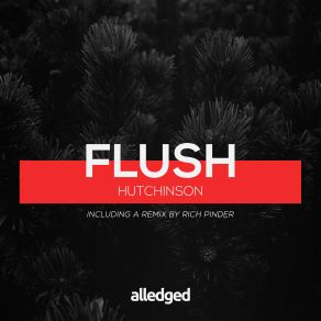 Download track Flush (Rich Pinder Remix) Hutchinson