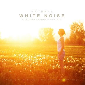 Download track Relaxing Cleansing Rain White Noise Research