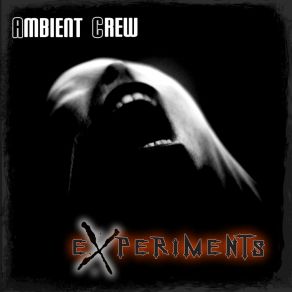 Download track Experiment Subject No2 Ambient Crew