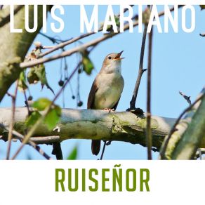 Download track Ruiseñor Luis Mariano