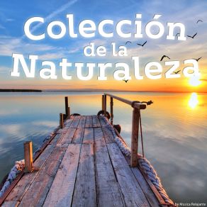 Download track Piano En La Naturaleza Tristan YorkMusica Relajante