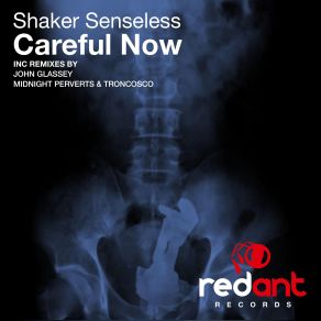 Download track Careful Now (Pete Bones Dub Mix) Shaker Senseless