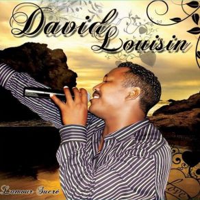 Download track Je Suis Timide David Louisin