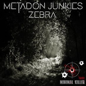 Download track Zebra (Original Mix) Metadon Junkies