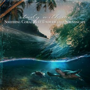 Download track Soothing Coral Reef Underwater Soundscape, Pt. 11 Sebastian Riegl