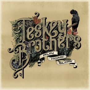 Download track Let Me Let You Down The Teskey Brothers