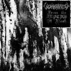 Download track Prenatal Death Wombripper