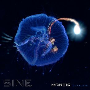 Download track Virtual Realitease (Mark Pistel Remix) Sine