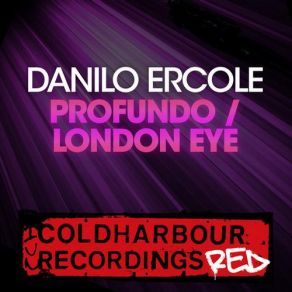 Download track Profundo (Radio Edit) Danilo Ercole